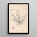 Herbier de la flore française Pl0091 - Louis Antoine Cusin — inramlat konstverk på väggen