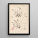 Herbier de la flore française Pl0097 - Louis Antoine Cusin — inramlat konstverk på väggen