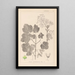 Herbier de la flore française Pl0120 - Louis Antoine Cusin — inramlat konstverk på väggen