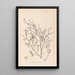 Herbier de la flore française Pl0138 - Louis Antoine Cusin — inramlat konstverk på väggen