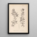 Herbier de la flore française Pl0155 - Louis Antoine Cusin — inramlat konstverk på väggen