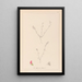 Herbier de la flore française Pl0228 - Louis Antoine Cusin — inramlat konstverk på väggen