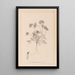 Herbier de la flore française Pl0240 - Louis Antoine Cusin — inramlat konstverk på väggen