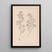 Herbier de la flore française Pl0245 - Louis Antoine Cusin — inramlat konstverk på väggen
