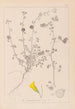 Herbier de la flore française Pl0255 - Louis Antoine Cusin — vy av konstverket