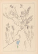 Herbier de la flore française Pl0431 - Louis Antoine Cusin — vy av konstverket