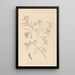 Herbier de la flore française Pl0435 - Louis Antoine Cusin — inramlat konstverk på väggen