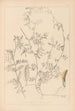 Herbier de la flore française Pl0455 - Louis Antoine Cusin — vy av konstverket