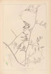 Herbier de la flore française Pl0466 - Louis Antoine Cusin — vy av konstverket