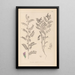 Herbier de la flore française Pl0490 - Louis Antoine Cusin — inramlat konstverk på väggen