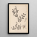 Herbier de la flore française Pl0491 - Louis Antoine Cusin — inramlat konstverk på väggen
