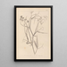 Herbier de la flore française Pl0508 - Louis Antoine Cusin — inramlat konstverk på väggen