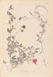 Herbier de la flore française Pl0510 - Louis Antoine Cusin — vy av konstverket