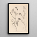 Herbier de la flore française Pl0516 - Louis Antoine Cusin — inramlat konstverk på väggen