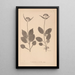 Herbier de la flore française Pl0688 - Louis Antoine Cusin — inramlat konstverk på väggen