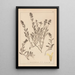 Herbier de la flore française Pl0873 - Louis Antoine Cusin — inramlat konstverk på väggen