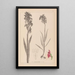 Herbier de la flore française Pl1010 - Louis Antoine Cusin — inramlat konstverk på väggen