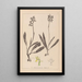 Herbier de la flore française Pl1033 - Louis Antoine Cusin — inramlat konstverk på väggen
