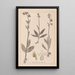 Herbier de la flore française Pl1054 - Louis Antoine Cusin — inramlat konstverk på väggen