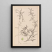 Herbier de la flore française Pl1073 - Louis Antoine Cusin — inramlat konstverk på väggen