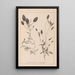 Herbier de la flore française Pl1074 - Louis Antoine Cusin — inramlat konstverk på väggen
