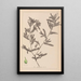 Herbier de la flore française Pl1080 - Louis Antoine Cusin — inramlat konstverk på väggen