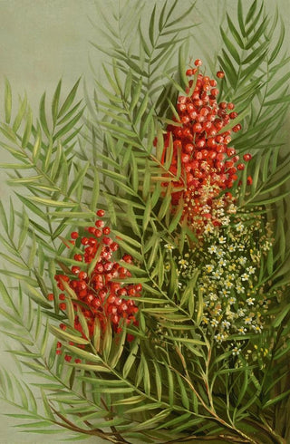 Louis Prang - Mountain ash.webp
