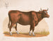 Vache - Louis Prang Co — vy av konstverket
