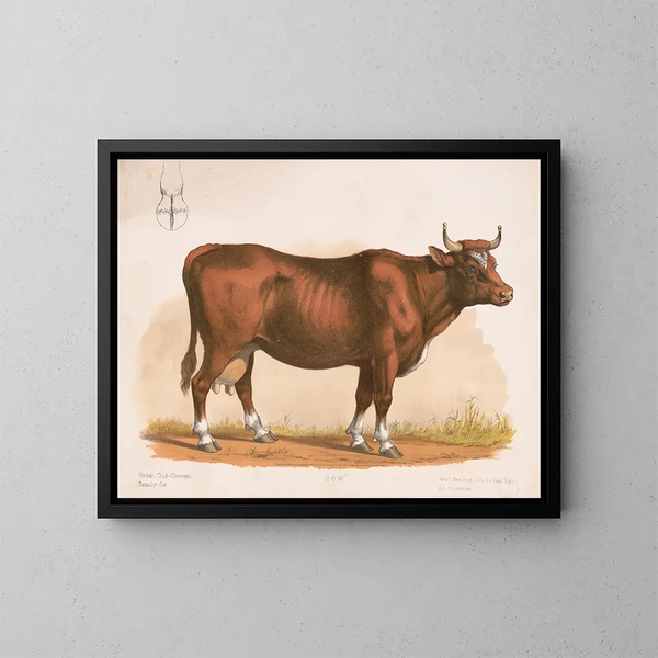 Vache - Louis Prang Co — inramlat konstverk på väggen