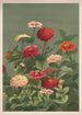 Blommor - Louis Prang Co — vy av konstverket