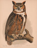 Chouette hulotte - Louis Prang Co — vy av konstverket