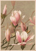 Magnolia - Louis Prang Co — vy av konstverket