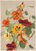 Capucines - Louis Prang Co — vy av konstverket