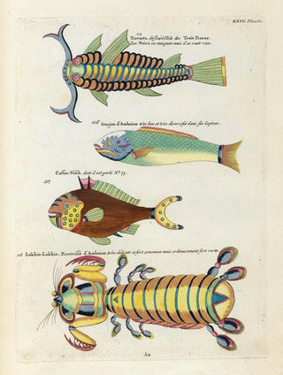 Louis Renard - Poissons ecrevisses et crabes de diverses couleurs et figures extraordinaires Pl067.webp