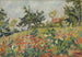 Champ fleuri - Louis Valtat — vy av konstverket