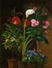 Oranger Streptocarpus Oleander En Calla Lily Och Kaktusblommor - Louise Garlieb — vy av konstverket