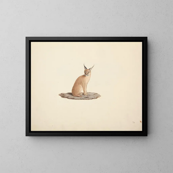 Caracal caracal - Luigi Balugani — inramlat konstverk på väggen