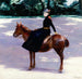 Mademoiselle Meuriot sur son poney - Jacquesmile Blanche — vy av konstverket
