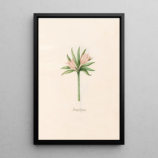 Magdelena Rosina Funck - Griegish Zeitloss.webp