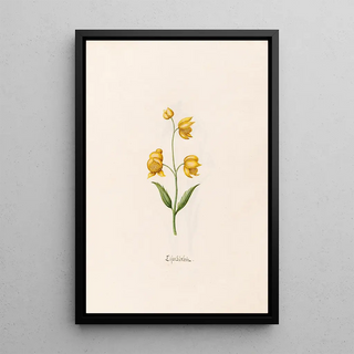 Magdelena Rosina Funck - Lilen gtlein.webp