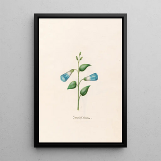 Magdelena Rosina Funck - Romanishe Binden.webp