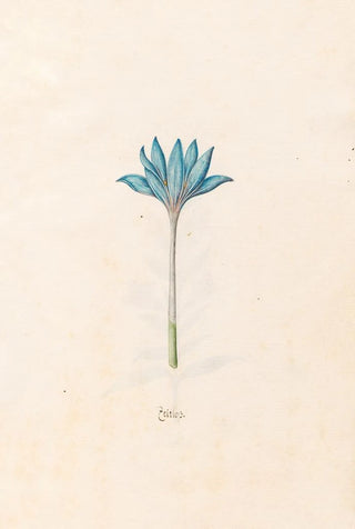 Magdelena Rosina Funck - Zeitloss.webp