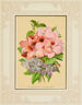 Pélargonium, periwinkle - Marcus Ward & Co. — vy av konstverket