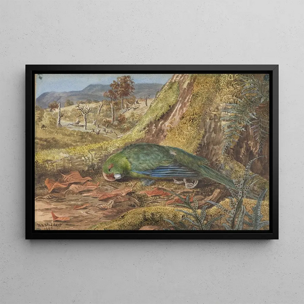 Margaret Stoddart - Native parrot in a moss and bush setting.webp