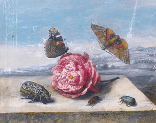 Margareta de Heer - Still Life With Insects Around A Rose On A Stone Ledge.webp