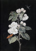 äppelblomster - Margaretha Barbara Dietzsch — vy av konstverket