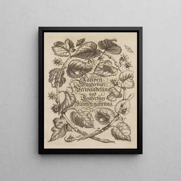 Maria Sibylla Merian - Der Raupen wunderbare Verwandelung und sonderbare BlumenNahrung Pl001.webp