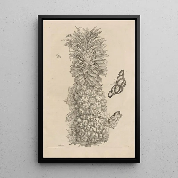 Dissertation sur la génération et les métamorphoses des insectes du Surinam Pl02 - Maria Sibylla Merian — inramlat konstverk på väggen