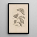 Dissertatio de generatione et metamorphoses des insectes surinamens Pl53 - Maria Sibylla Merian — inramlat konstverk på väggen
