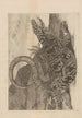 Dissertatio de generatione et metamorphoses des insectes surinamens Pl70 - Maria Sibylla Merian — vy av konstverket